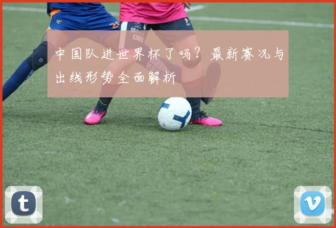 中国队进世界杯了吗？最新赛况与出线形势全面解析